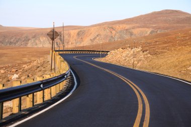 ayı diş yüksek yol