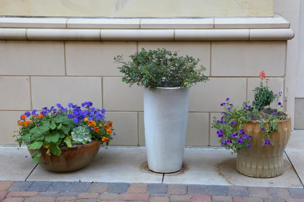 Three flower pots — Stock Photo, Image