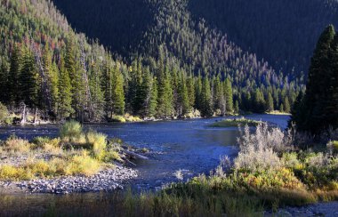 Yellowstone Milli Parkı