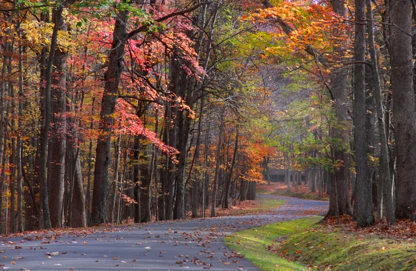 Scenic autumn drive — Stock Photo, Image