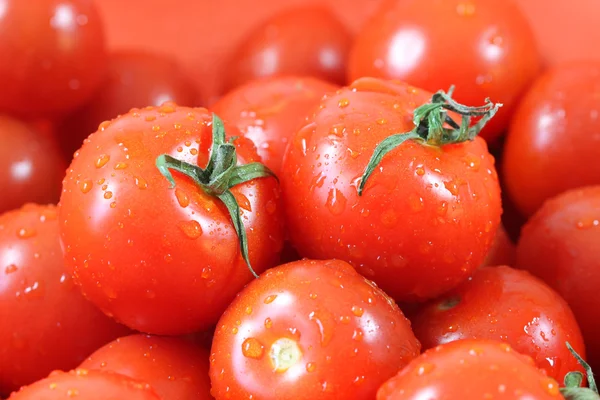 Fresh riped tomatoes — Stock Photo, Image