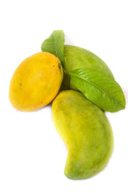 Üç Mango