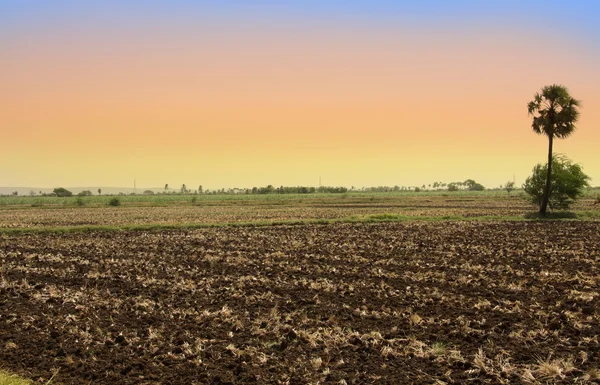 Öde Felder in Indien — Stockfoto