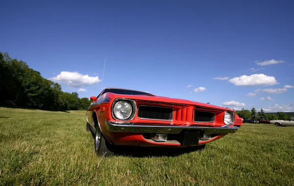 빨간 근육 자동차 — 스톡 사진