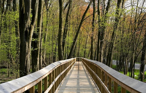 stock image Board walk