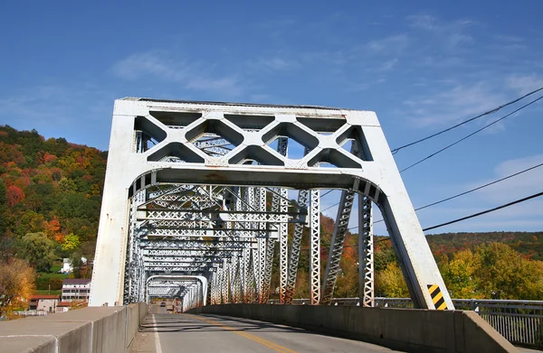 Міст з різнокольоровими деревами — стокове фото
