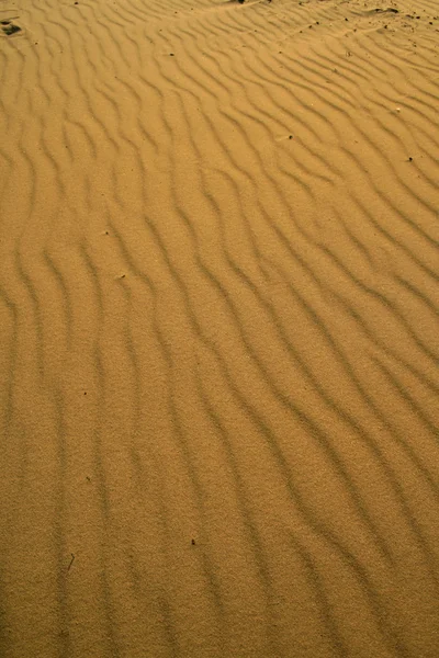 沙漠砂 — 图库照片