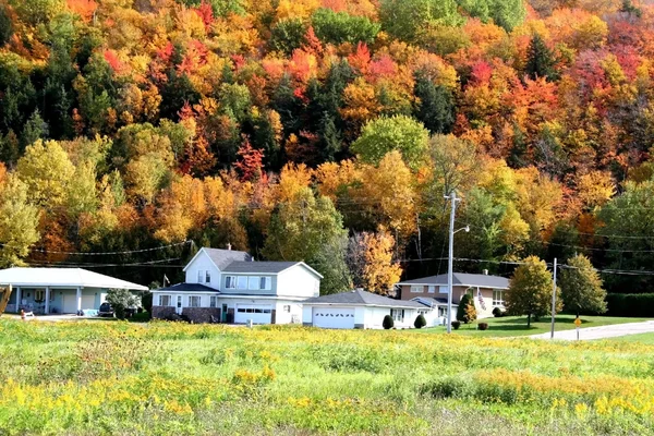 stock image Small Town