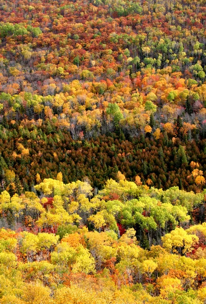 stock image Autumn Time In Mountains