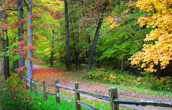 Camino de otoño a pie — Foto de Stock