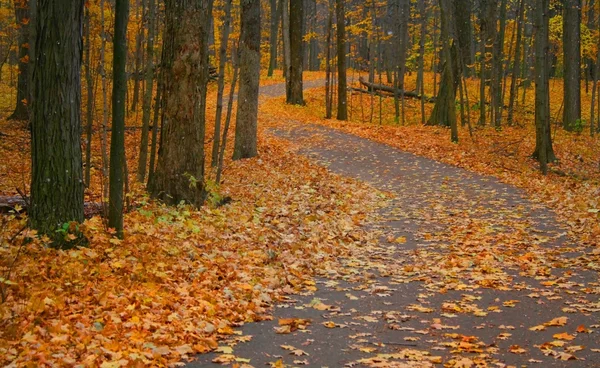 Autumn Road — Stock Photo, Image