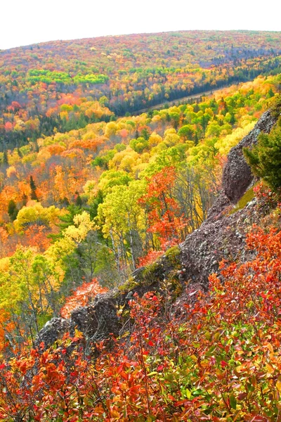 Herfst in Bergen — Stockfoto