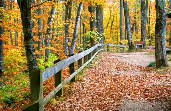 Красива осінь доріжки — стокове фото
