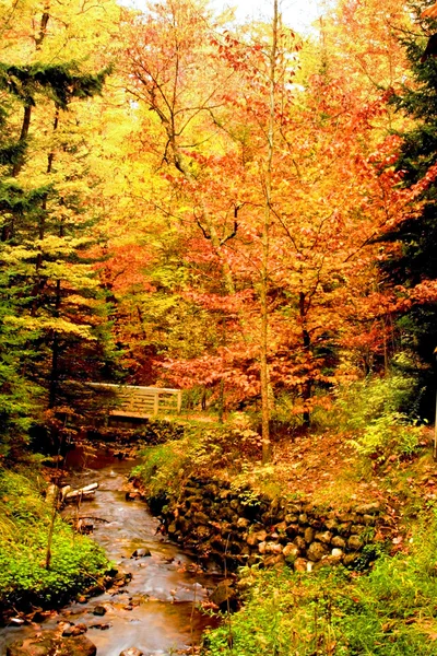 Piękna Jesienna scena — Zdjęcie stockowe