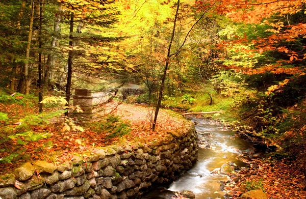 Bella scena autunnale — Foto Stock