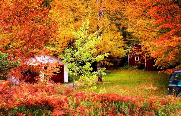Paysage d'automne — Photo