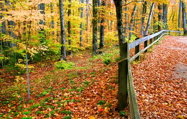 Hermosa escena de otoño — Foto de Stock