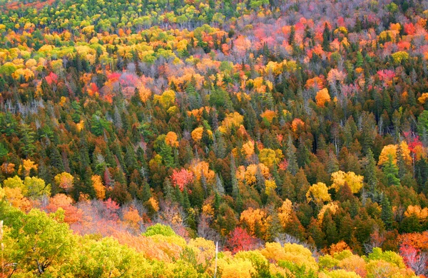 Autumn In Mountains — Stock Photo, Image