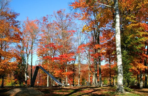 Jesień w parku — Zdjęcie stockowe