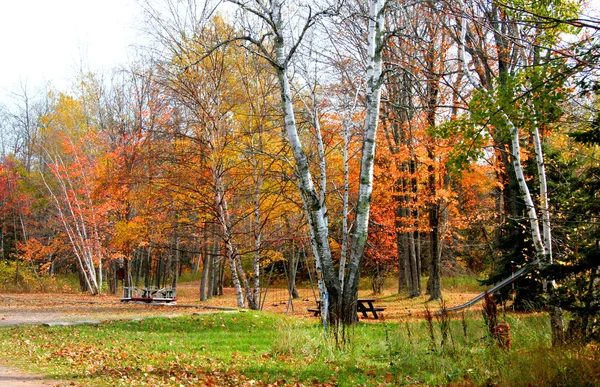 Malowniczy czas jesieni — Zdjęcie stockowe