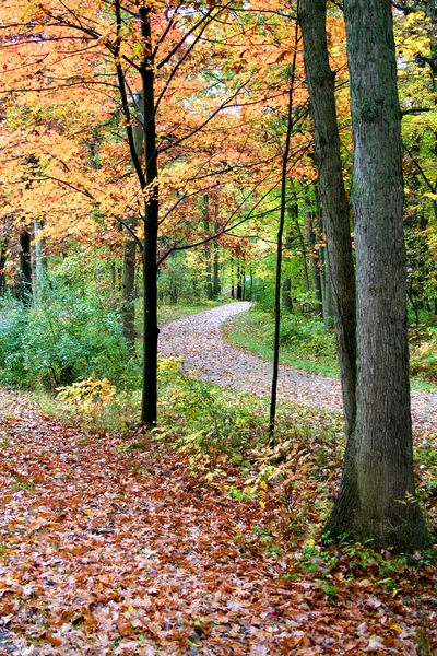 Camino de otoño a pie —  Fotos de Stock