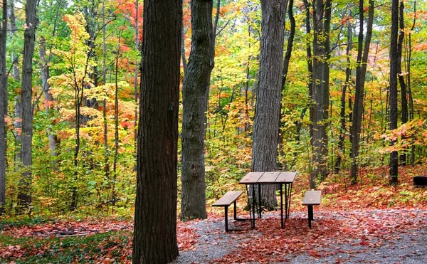 stock image Picnic Table