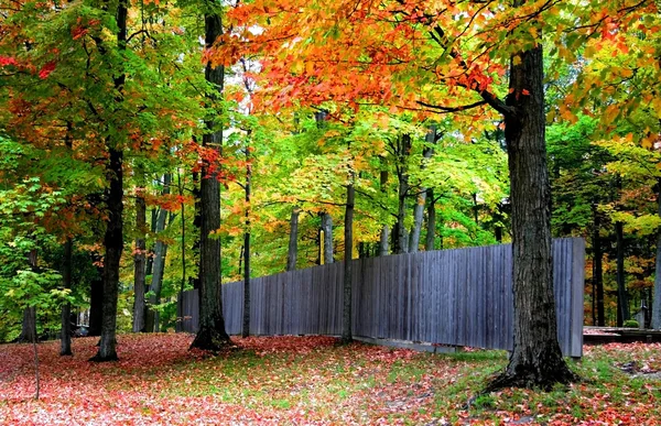 Outono em um parque — Fotografia de Stock