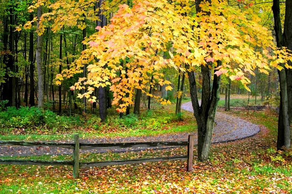 風光明媚な秋の散歩道 ストック画像