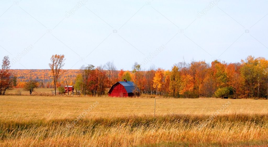 Panoramic shot of farm