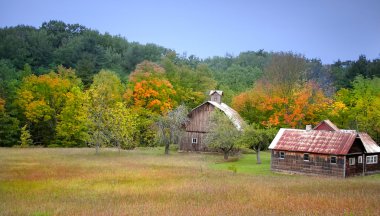 Old Homes By The Colorful Trees clipart