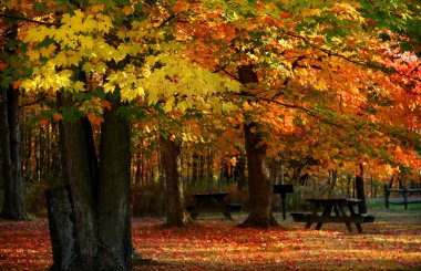 Michigan Fall Landscape clipart