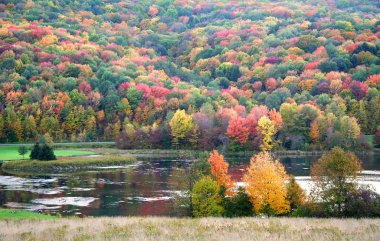 Fall Landscape clipart
