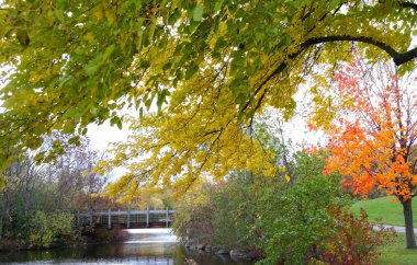 Autumn in Michigan clipart