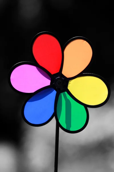 다채로운 팬 팜 — 스톡 사진