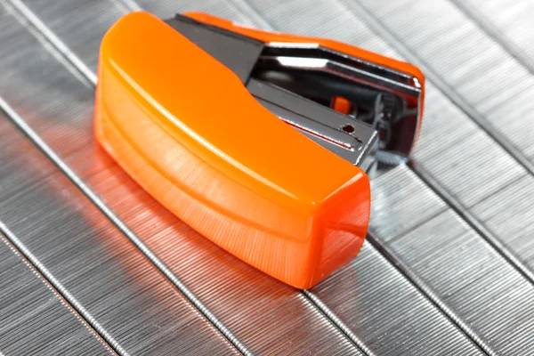 Grampeador minúsculo laranja — Fotografia de Stock