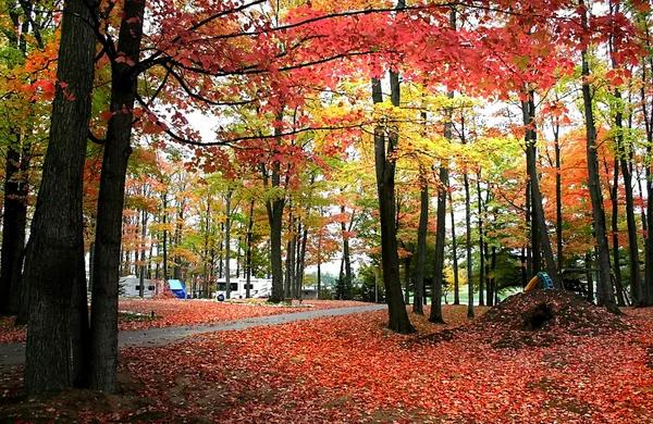 Michigan podzim krajina — Stock fotografie