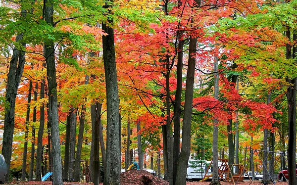 密歇根州秋天风景 — 图库照片