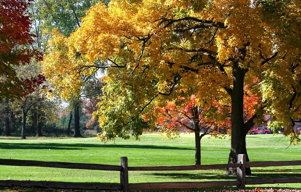 Stock image Autumn Landscape