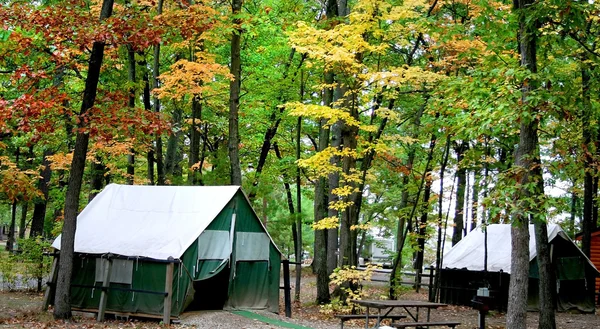 Cabanas no meio de árvores coloridas — Fotografia de Stock