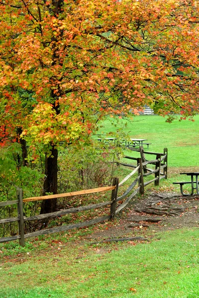 Michigan hösten landskap — Stockfoto