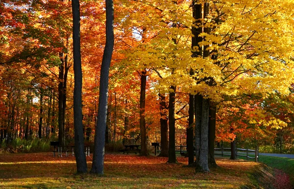 Michigan podzim krajina — Stock fotografie