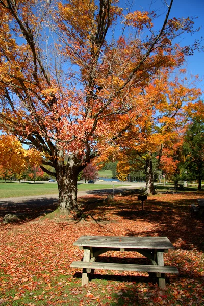 Michigan herfst landschap — Stockfoto
