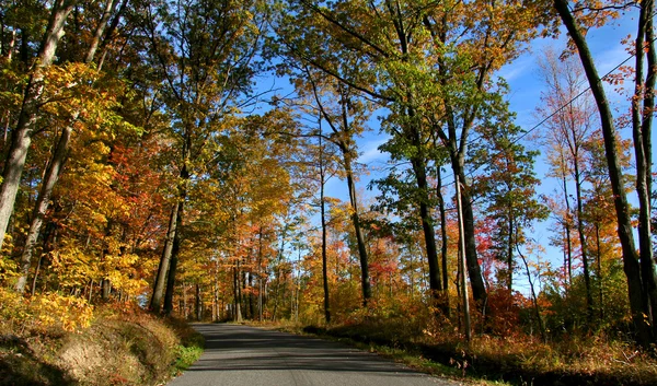 stock image Autumn Drive