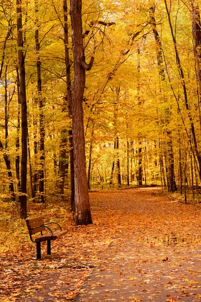 Paesaggio d'autunno — Foto Stock