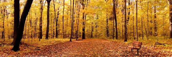 Autumn Panorama — Stock Photo, Image