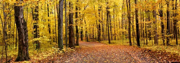 Höstens panorama — Stockfoto