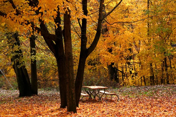 Autumn Landscape — Stock Photo, Image