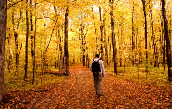 Caminata de otoño — Foto de Stock