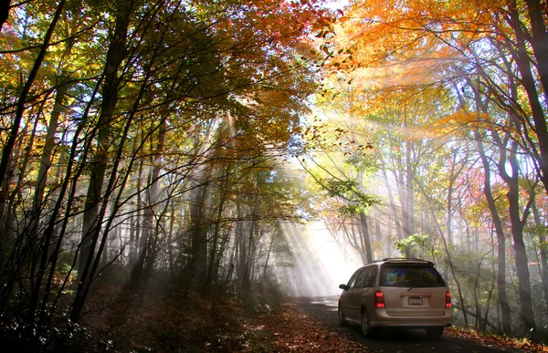 Herfst ochtend — Stockfoto