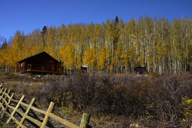 Gotik, colorado